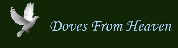 doves from heaven top