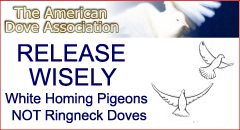 dove association